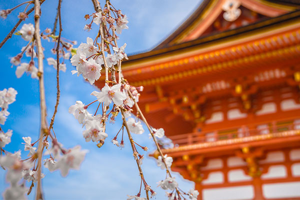 清水寺在哪个国家 清水寺在哪里