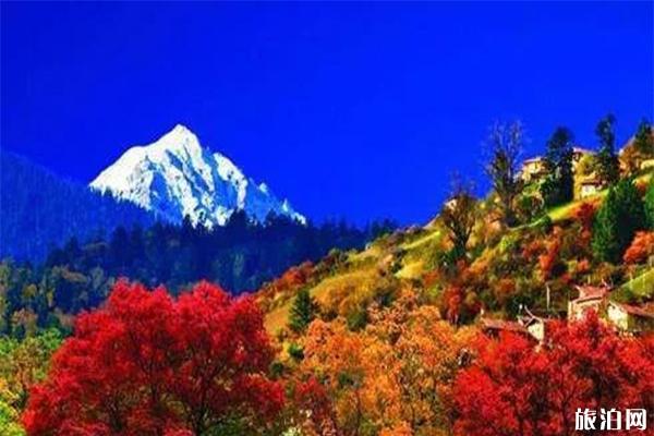 国内有哪些适合看红叶的地方