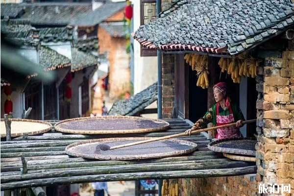 婺源旅游指南+交通+住宿