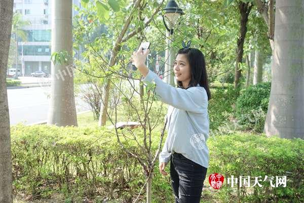 广东德庆：气温偏高致桃花反季开放