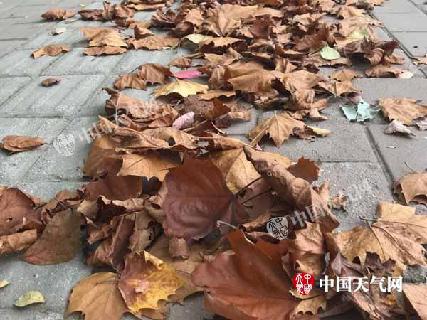 明晨安徽黄山宿州等多地将现霜或霜冻 白天气温回升