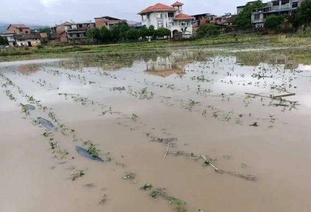 浙江中南部和沿海仍然大雨 最高温在30℃以下