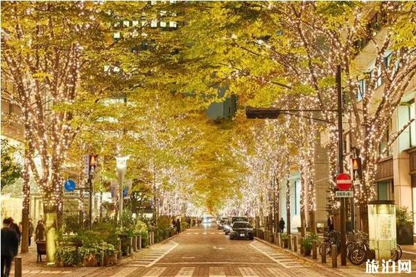 2019日本东京灯展时间+地点+介绍 2019日本东京灯展攻略整理