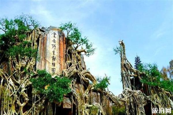 云南野生动物园游玩攻略