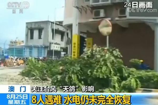 台风“天鸽”已致17人遇难 目前广东中山港已复航