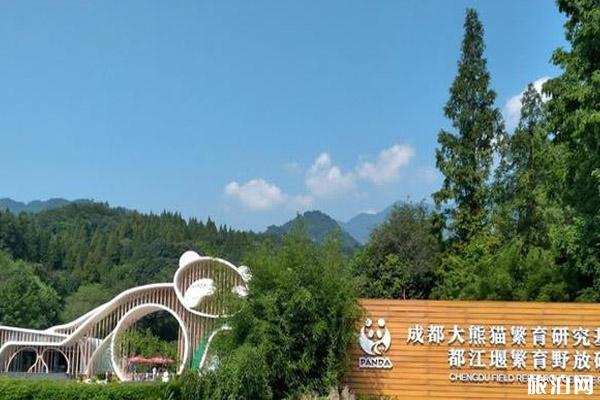 成都看熊猫攻略