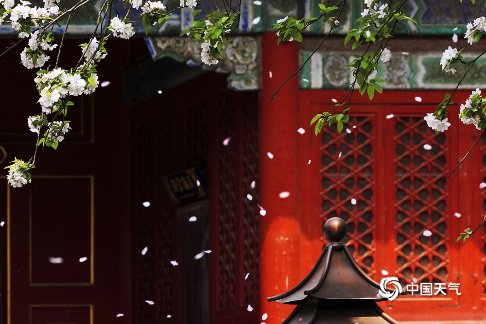 紫禁城600年 看四季轮转中的景象万千