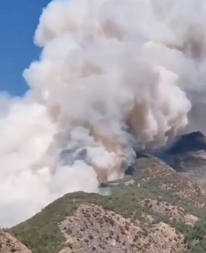 云南大理森林火灾最新消息 出动600人+直升机扑救