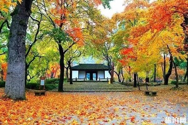 2019苏州秋游哪里好玩+游玩攻略