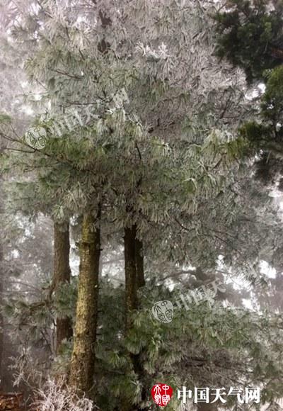 云南寒潮道路结冰双预警齐发 未来三天雨雪持续气温缓升
