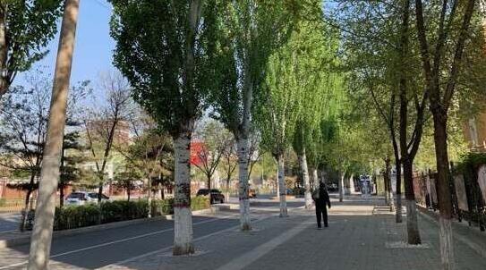 内蒙古大部地区气温升到25℃左右 多云转晴的天气宜出行