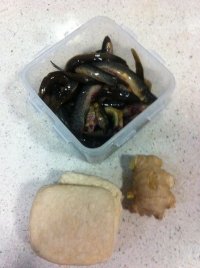 豆腐泥鳅汤的做法步骤1