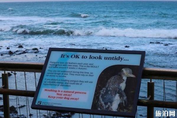 新西兰南部旅游线路推荐 新西兰南部旅游线路推荐