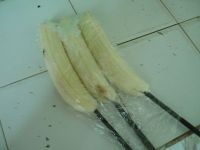 懒人版香蕉雪糕的做法步骤5