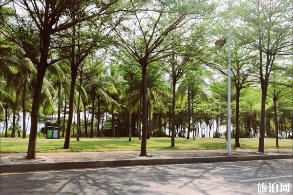 三亚网红打卡地推荐