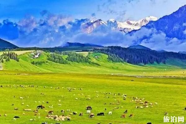 八月新疆旅游景点攻略