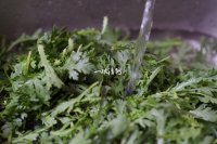 凉拌蒿菜的做法步骤2