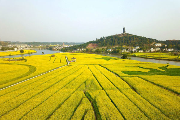 2019重庆潼南油菜花开了吗 2019潼南菜花节时间
