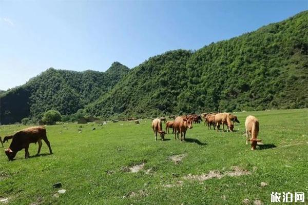 汉中周末游玩景点有哪些 汉中小众景点 汉中周末游玩景点有哪些 汉中小众景点