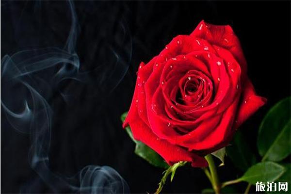 西安七夕演出汇总 西安七夕去哪里玩 西安七夕演出汇总 西安七夕去哪里玩