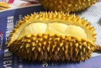 榴莲布丁的做法步骤1
