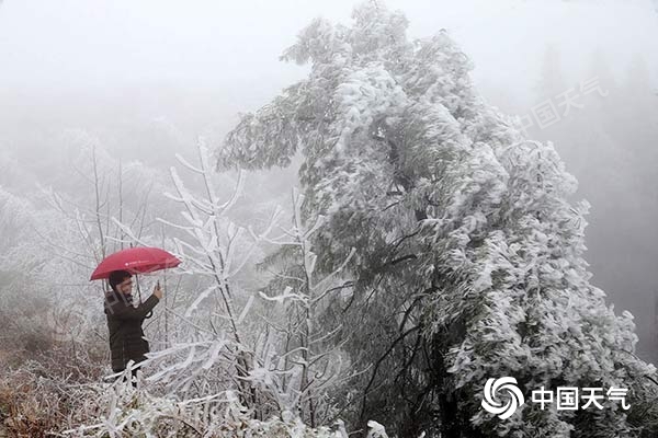 重庆多地迎雾凇美景 今日东部高海拔地区还有降雪