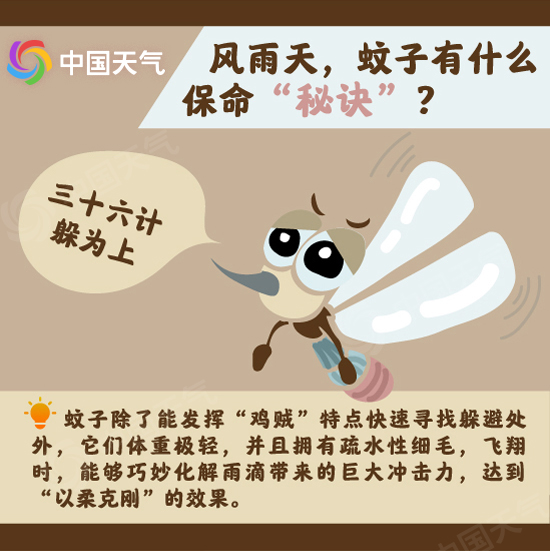 脑洞科普：风雨究竟能不能“消灭”蚊子？