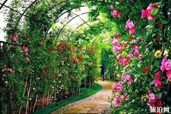 广州从化西和风情小镇怎么样 露营地怎么收费 广州从化西和风情小镇怎么样 露营地怎么收费