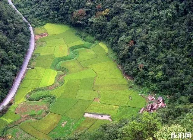 茂兰旅游攻略 茂兰徒步看点