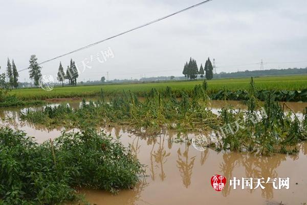 今明天陕西仍有明显降水 延安榆林局部有暴雨