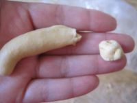 南瓜芝麻球的做法步骤7