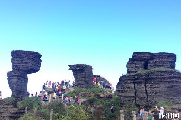 梵净山游记800字 梵净山旅游游记作文