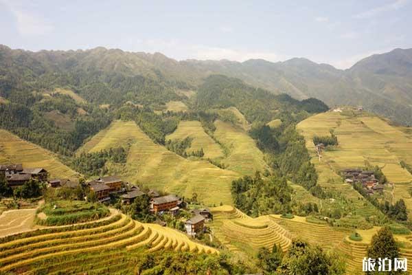 广西旅游交通攻略 到广西选择什么交通工具 广西旅游交通攻略 到广西选择什么交通工具