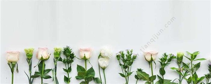 给男友的特别备注名称