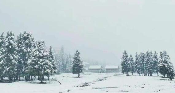 新疆六月飞雪是怎么回事 这次降雪和冷空气有关