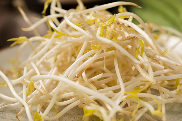 塑料桶怎样生豆芽 生豆芽的方法