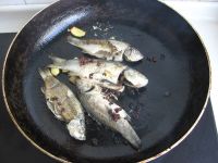 芹香豆瓣鲫鱼的做法步骤5