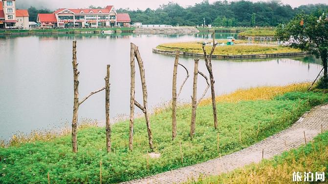 成都八月份旅游攻略