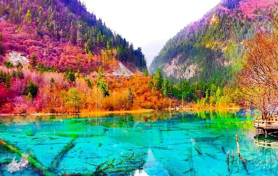 九寨沟在四川吗