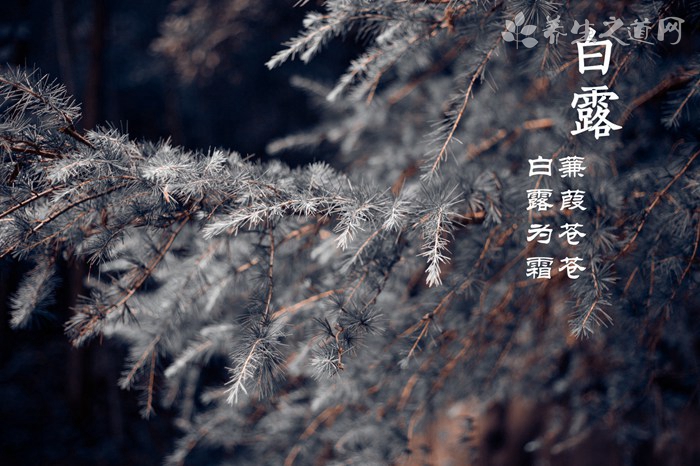 清明节如何养生