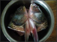 水煮活鱼的做法步骤3