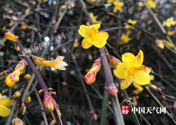 节前安徽天气晴暖 除夕或迎小雨降温