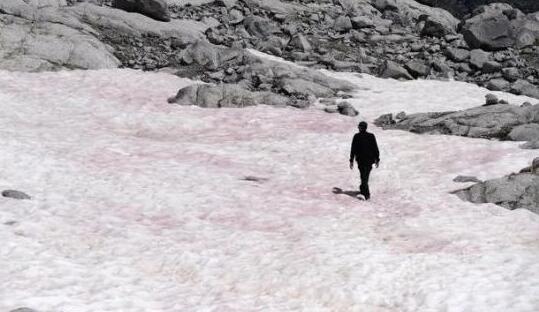 阿尔卑斯山现粉红色冰川 冰川红色是什么原因