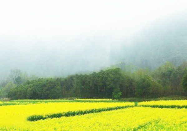 安徽芜湖三山区旅游景点