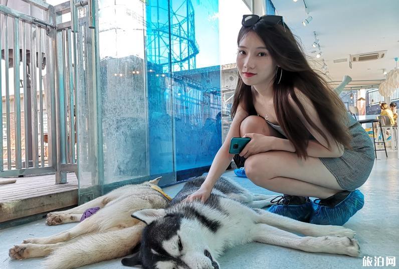 中央美术学院美术馆太虚之境怎么样 好玩吗 中央美术学院美术馆太虚之境怎么样 好玩吗