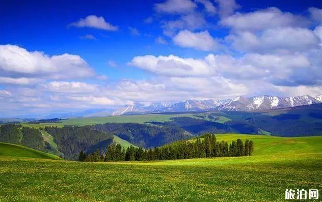 新疆旅游攻略详细版最新 新疆旅游攻略详细版最新