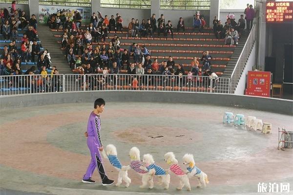 石家庄市动物园门票多少钱 海洋馆表演时间