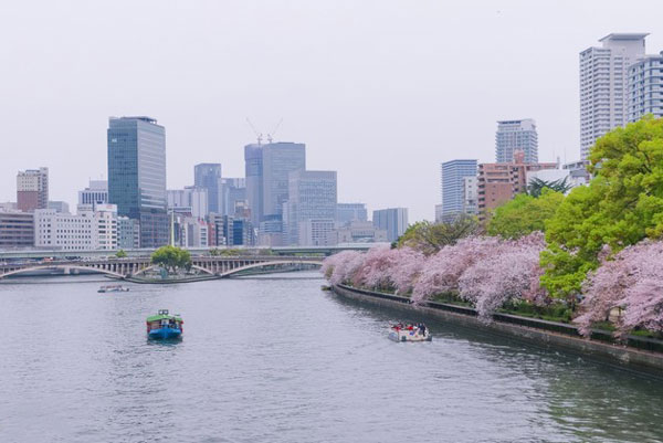 大阪哪里看樱花好 大阪赏樱花地点