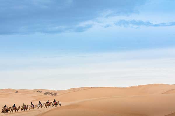 沙湖和沙坡头的区别在哪 沙湖和沙坡头哪个更好玩