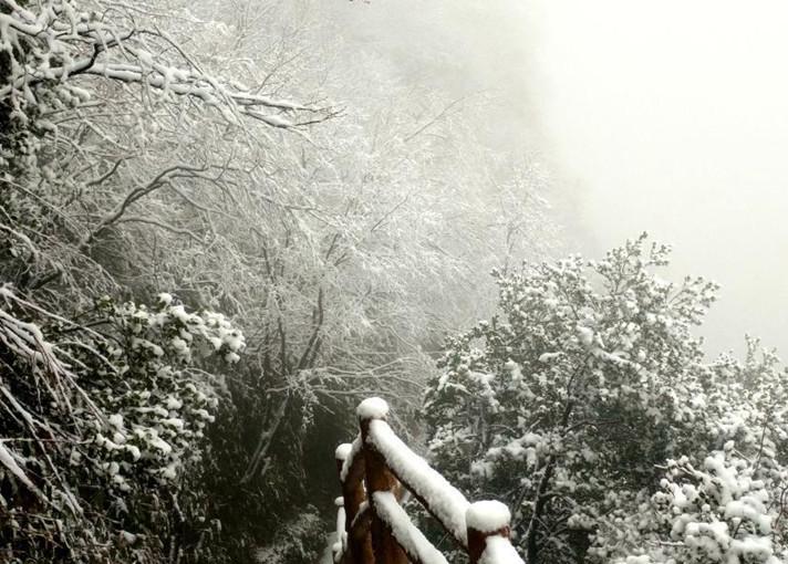 披银霜！四川万源八台山迎来今冬首场大雪